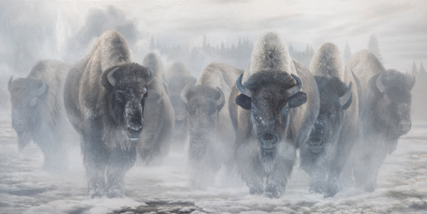 A canvas print depicting a herd of Yellowstone bison in a misty snowy landscape. Oil painting artwork 'Giants in the Mist IV' by wildlife artist James Corwin.