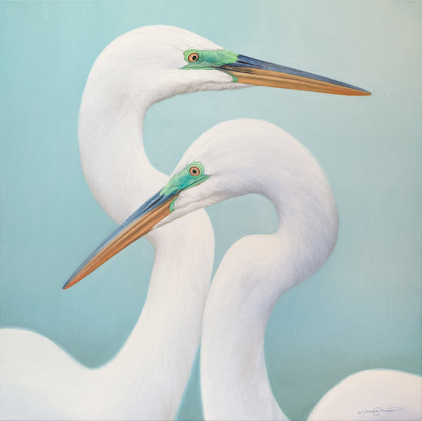 An oil painting of two great white egrets with a seafoam green background. Limited Edition Giclee Canvas Print by wildlife artist James Corwin.