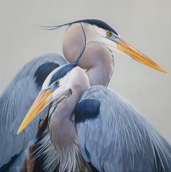 A canvas print of two great blue herons with a gray, blue, and yellow color palette. An oil painting by wildlife artist James Corwin.