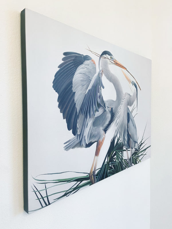 A canvas print featuring two great blue herons in an elegant pose, building a nest with detailed feathering and a contemporary background by wildlife artist James Corwin oil painting. Hanging in living room wall art home decor.