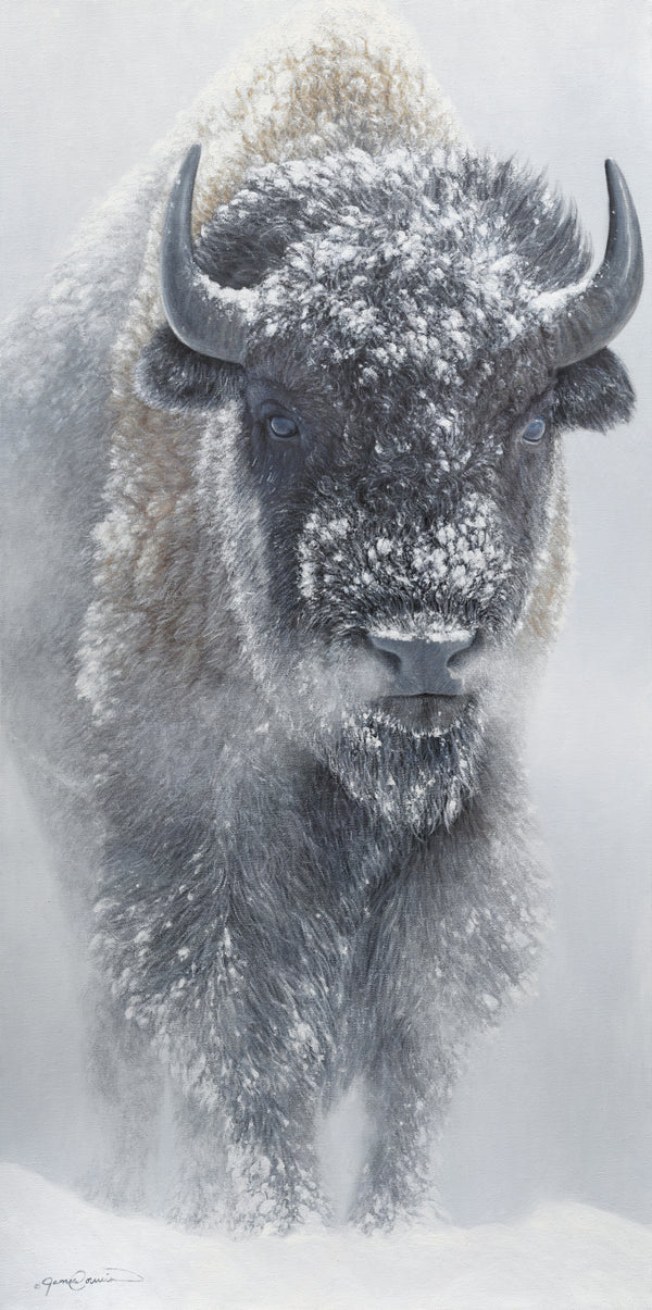 Limited Edition Giclee Canvas Print of an American Bison in winter snow, titled 'Reverence' by wildlife artist James Corwin. Yellowstone buffalo art.