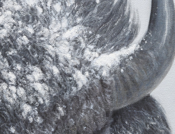 Limited Edition Giclee Canvas Print of an American Bison in winter snow, titled 'Reverence' by wildlife artist James Corwin. Yellowstone buffalo art. Detail of bison horn painting.