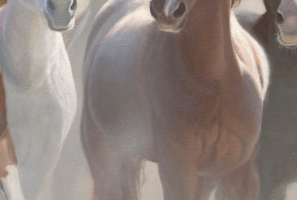 A western art print featuring a group of wild horses running galloping in a dusty field by wildlife artist James Corwin.