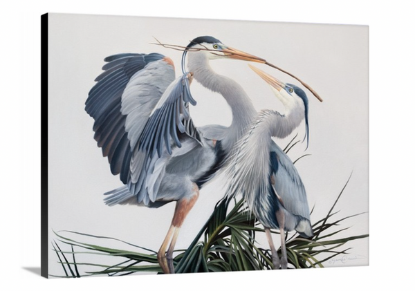 A canvas print featuring two great blue herons in an elegant pose, building a nest with detailed feathering and a contemporary background by wildlife artist James Corwin oil painting.
