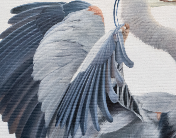 A canvas print featuring two great blue herons in an elegant pose, building a nest with detailed feathering and a contemporary background by wildlife artist James Corwin oil painting.