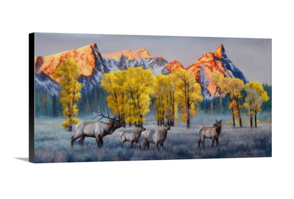 A western oil painting of elk in a field with Bitterroot mountains, Trapper Peak and yellow fall cottonwood trees in the background. Limited Edition canvas giclee print by wildlife artist James Corwin, based in Montana. This is also a Montana license plate.