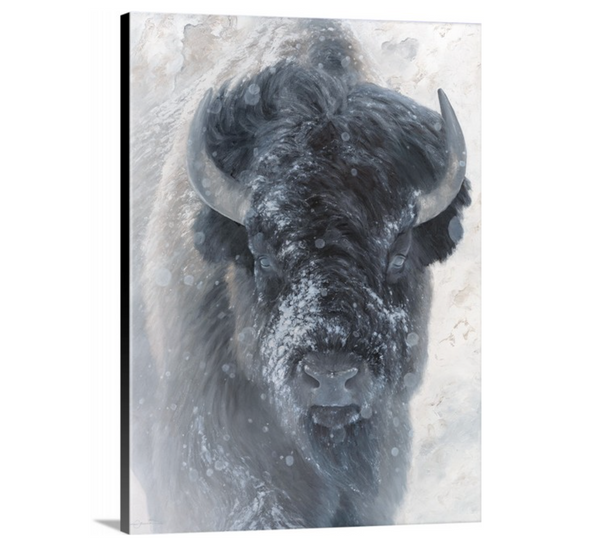 Big bison wildlife art by artist James Corwin as a limited edition canvas print featuring a buffalo with contemporary background and neutral colors.