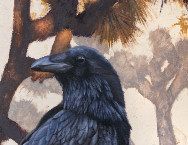 An oil painting of ravens in Joshua Tree National Park. Contemporary limited edition giclee print by wildlife artist James Corwin.