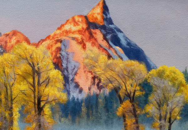 A western oil painting of elk in a field with Bitterroot mountains, Trapper Peak and yellow fall cottonwood trees in the background. Limited Edition canvas giclee print by wildlife artist James Corwin, based in Montana. This is also a Montana license plate.