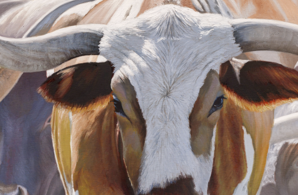 A western art print of Texas Longhorns cattle along the Chisholm trail from the Stockyards, against a dusty trail background. An oil painting by wildlife artist James Corwin.