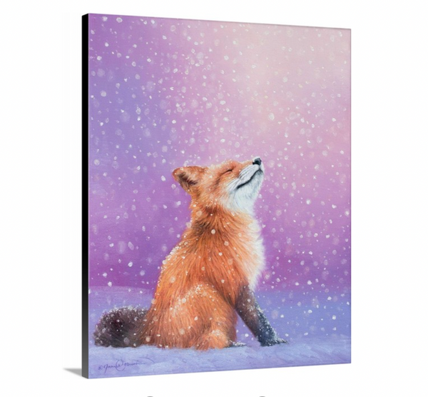 An oil painting of a red fox peacefully watching the snow fall with a pink purple background by wildlife artist James Corwin.