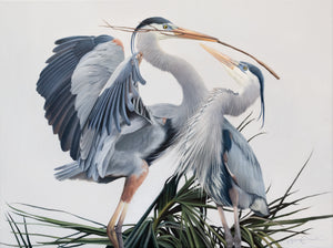 A canvas print featuring two great blue herons in an elegant pose, building a nest with detailed feathering and a contemporary background by wildlife artist James Corwin oil painting.