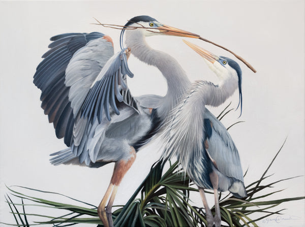 A canvas print featuring two great blue herons in an elegant pose, building a nest with detailed feathering and a contemporary background by wildlife artist James Corwin oil painting.