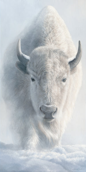 An oil painting of the sacred white bison as a limited edition canvas print by wildlife artist James Corwin based in Montana. Native American art inspired.