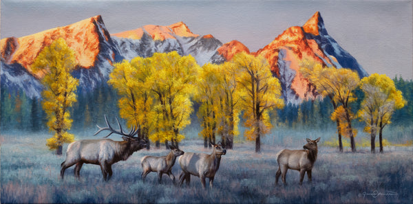 A western oil painting of elk in a field with Bitterroot mountains, Trapper Peak and yellow fall cottonwood trees in the background. Limited Edition canvas giclee print by wildlife artist James Corwin, based in Montana. This is also a Montana license plate.