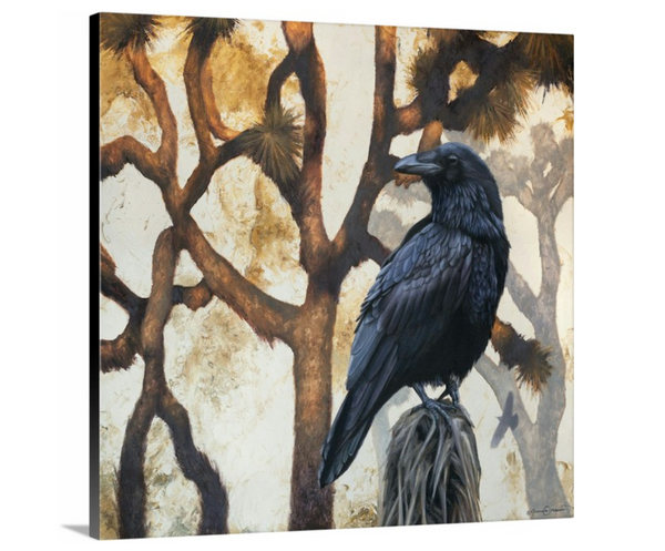 An oil painting of ravens in Joshua Tree National Park. Contemporary limited edition giclee print by wildlife artist James Corwin.