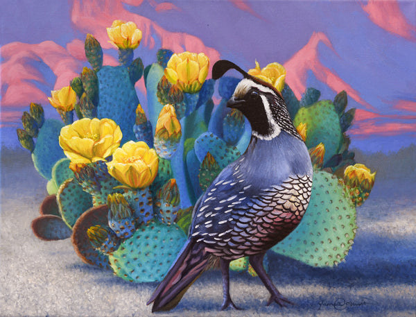 An oil painting of a california quail against a prickly pear cactus with yellow flowers in the desert. The sun is setting and the mountains are pink. A canvas print by wildlife artist James Corwin.