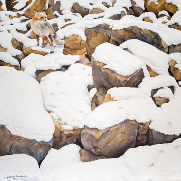 Fox in Rocks- Primero en la serie