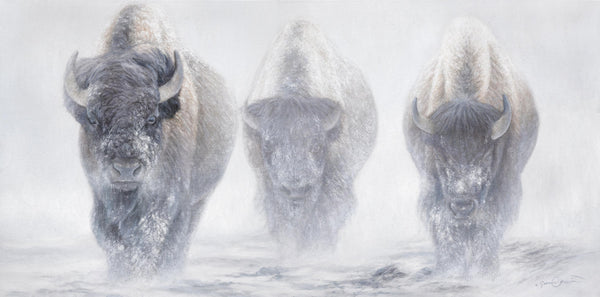 A giclee canvas print of three yellowstone bison in a misty winter setting from an oil painting by James Corwin wildlife artist.