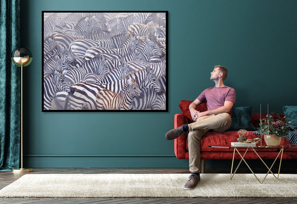 An oil painting of African zebras in a herd by wildlife artist James Corwin as a giclee canvas print. Hanging in living room wall art home decor.