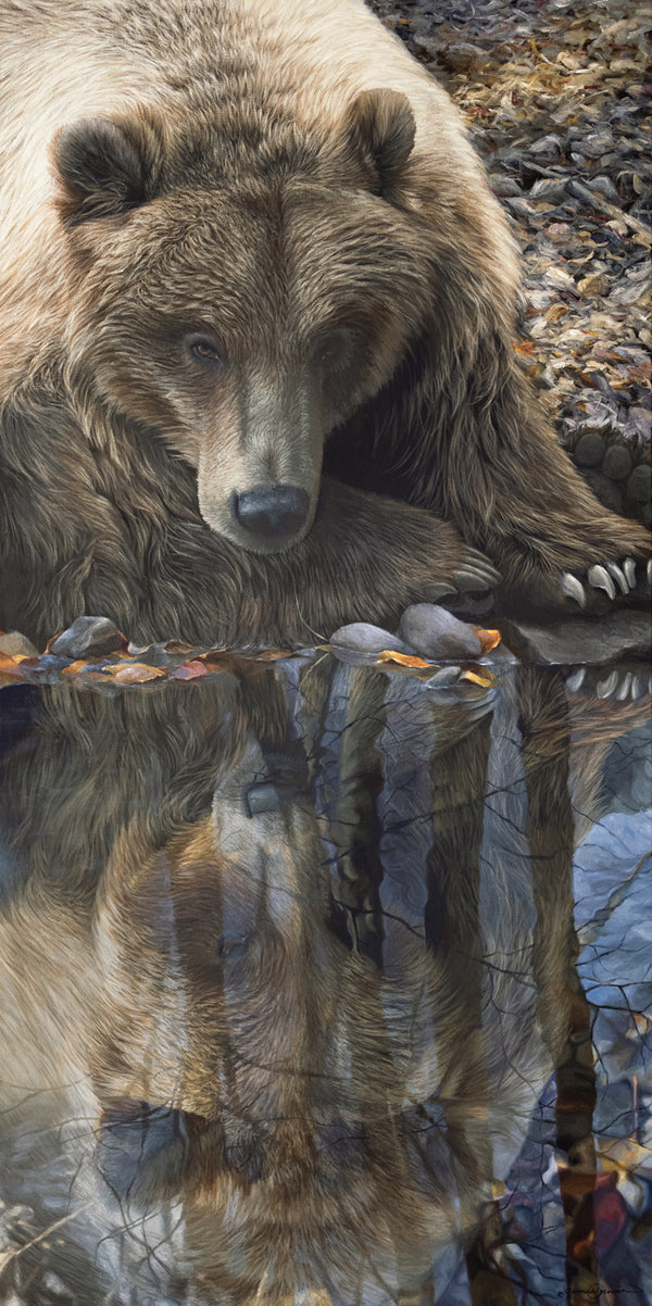 An oil painting as a limited edition canvas print of a grizzly bear looking at its reflection by wildlife artist James Corwin.