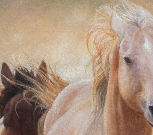A canvas print featuring a group of horses running in a dust cloud, capturing a sense of motion and freedom. Oil painting by wildlife artist James Corwin.