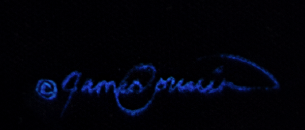 A kingfisher diving in water to catch a minnow fish. Canvas giclee print of an oil painting by wildlife artist James Corwin. Signature of artist.