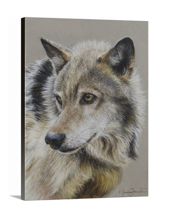 portrait of a wolf painting print canvas wildlife art by james corwin fine artist