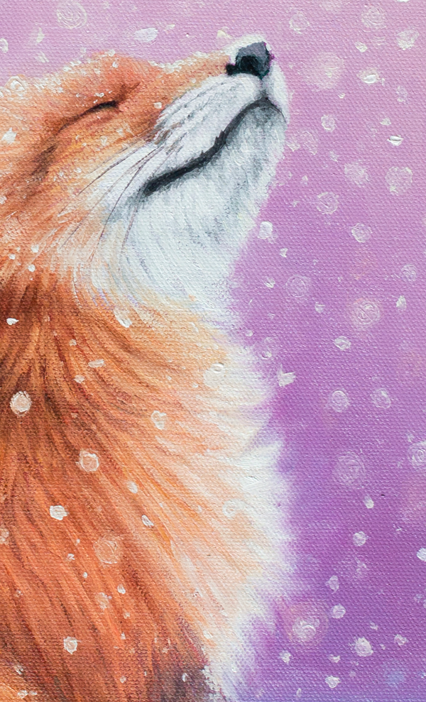 An oil painting of a red fox peacefully watching the snow fall with a pink purple background by wildlife artist James Corwin.