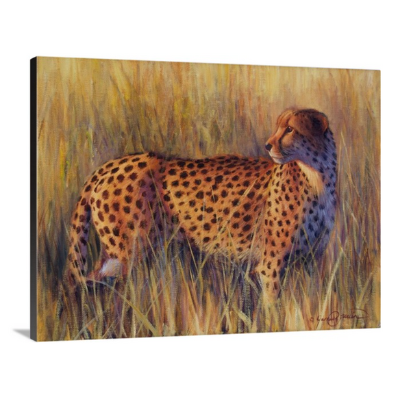 द लास्ट लाइट - फर्स्ट इन सीरीज़