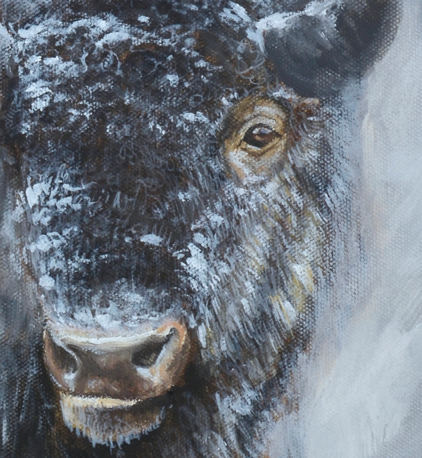 A portrait of an american bison oil painting western art print by wildlife artist James Corwin.