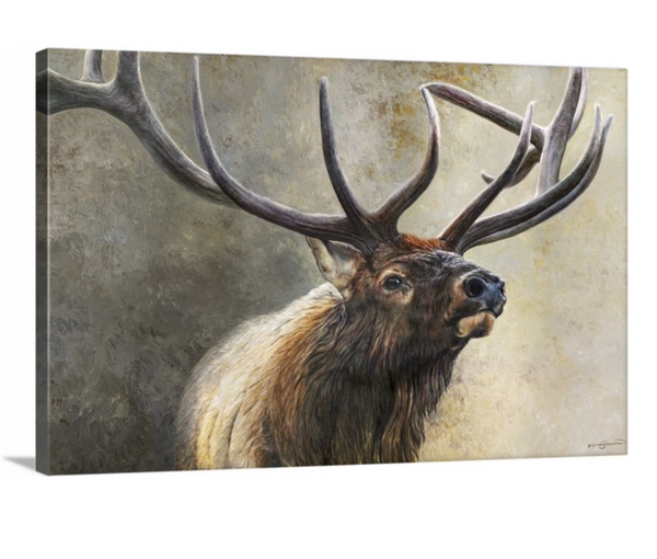 प्रहरी- श्रृंखला में प्रथम