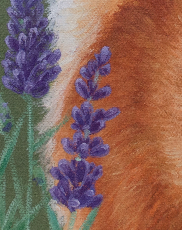 A canvas print depicting a baby fox in profile, looking upwards at a bumblebee in a field of lavender by wildlife artist James Corwin.