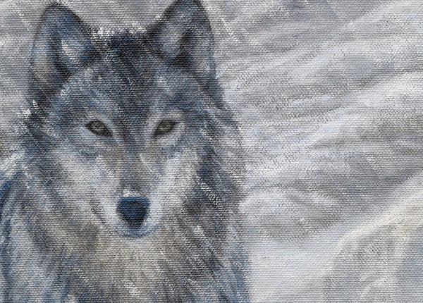 A limited edition giclee canvas print featuring a group of wolves in a snowy mountain landscape. The print is gallery-wrapped by wildlife artist James Corwin.