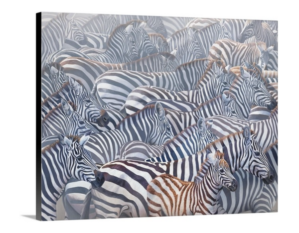 An oil painting of African zebras in a herd by wildlife artist James Corwin as a giclee canvas print.