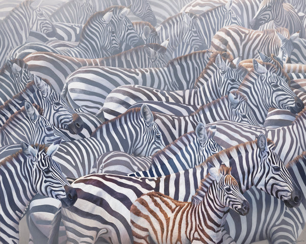 An oil painting of African zebras in a herd by wildlife artist James Corwin as a giclee canvas print.