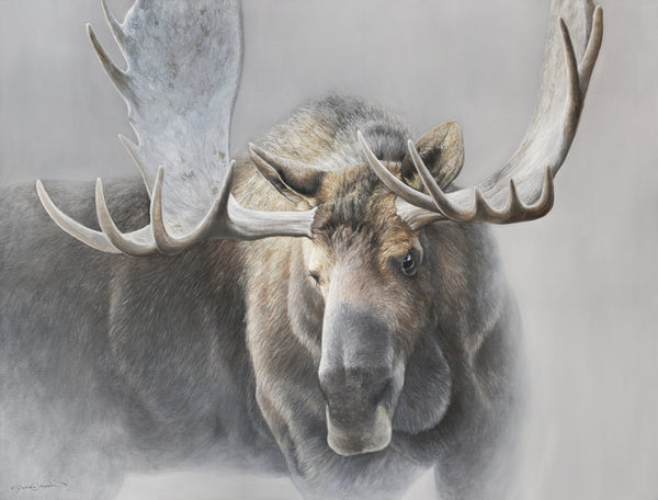 The sentinel bull moose oil painting by wildlife artist James Corwin based in Montana as a limited edition giclee canvas print.