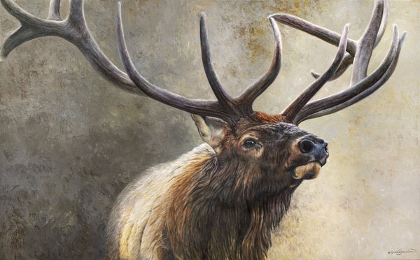 The sentinel bull elk oil painting by wildlife artist James Corwin, based in Montana, as a limited edition canvas print.