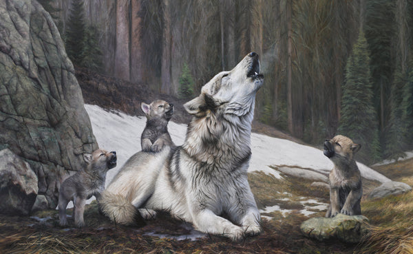A canvas print featuring a mother wolf and her pups howling in a forest setting, an oil painting by wildlife artist James Corwin, based in Montana western art.