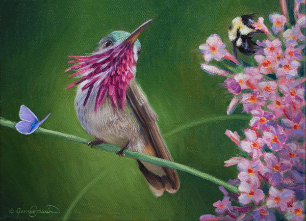A canvas print featuring a realistic painting of a hummingbird perched on a blade of grass with a bumblebee and a small blue butterfly around it, set against a blurred background of wildflowers by wildlife artist James Corwin.