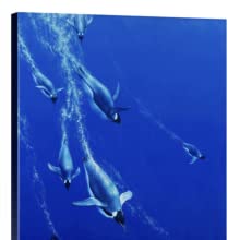 द ब्लू एंजल्स - फर्स्ट इन सीरीज़