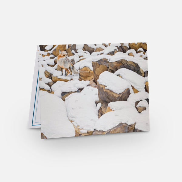 Tarjeta de notas Fox In Rocks