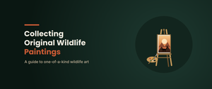 Original Wildlife Paintings: What Makes Them Collectible