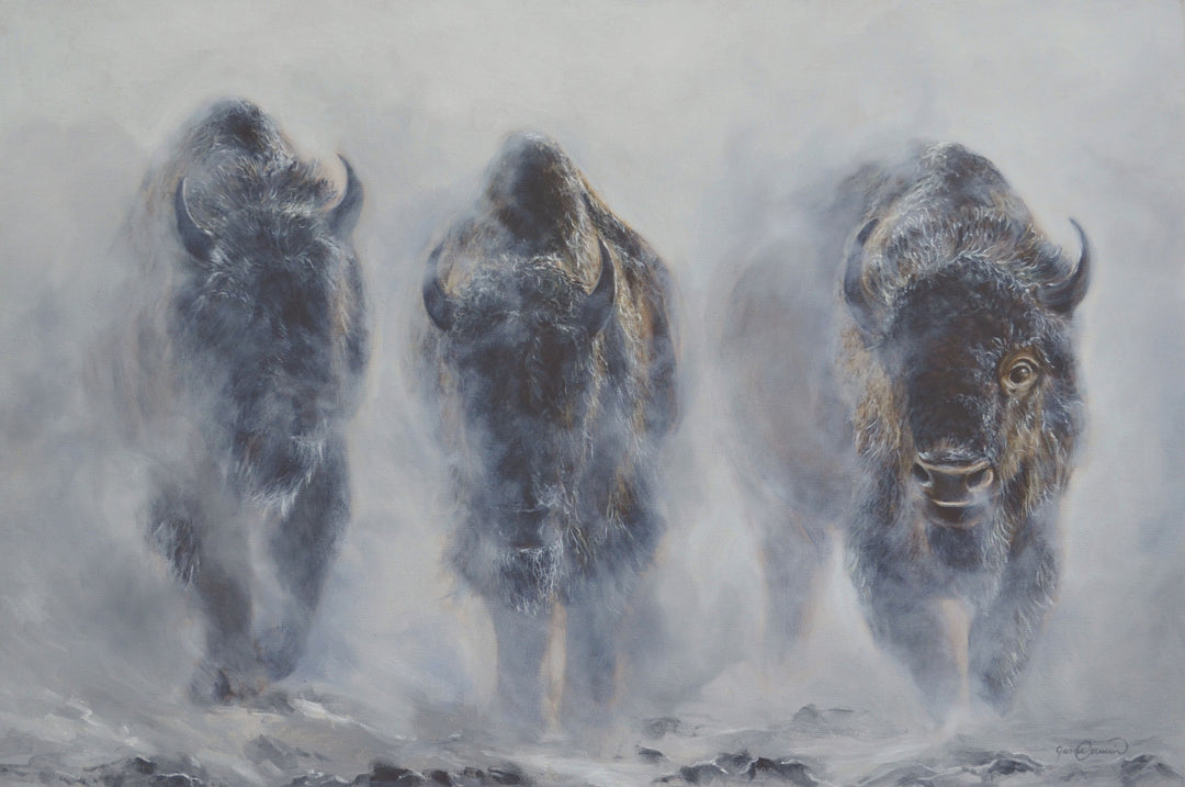 bison buffalo emerge from snowy mist in yellowstone
