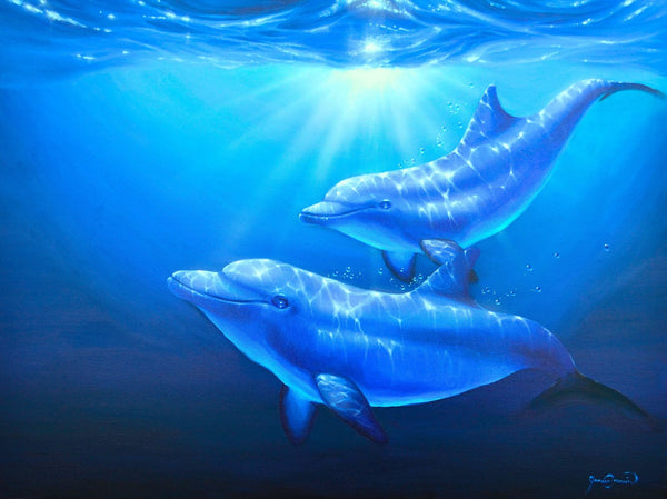 Dolphin Magic II