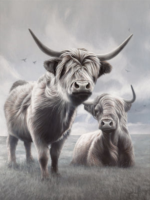 A limited edition giclee canvas print featuring two highland cows in a natural landscape with a predominantly gray and white color palette.