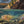 A canvas print titled 'A Secret Spot' by wiildlife artist James Corwin, depicting a vibrant river scene with multiple cutthroat trout swimming in the water, surrounded by yellowing tamaracks and a clear blue sky.