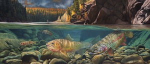 A canvas print titled 'A Secret Spot' by wiildlife artist James Corwin, depicting a vibrant river scene with multiple cutthroat trout swimming in the water, surrounded by yellowing tamaracks and a clear blue sky.