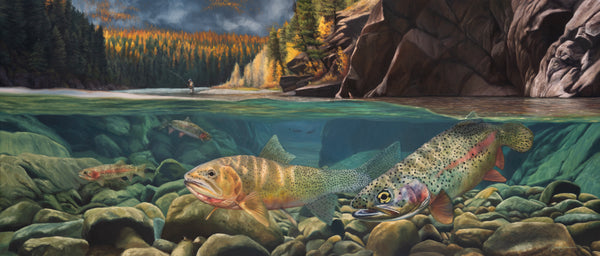 A canvas print titled 'A Secret Spot' by wiildlife artist James Corwin, depicting a vibrant river scene with multiple cutthroat trout swimming in the water, surrounded by yellowing tamaracks and a clear blue sky.