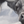 A limited edition giclee canvas print featuring two highland cows in a natural landscape with a predominantly gray and white color palette. Wildlife art by James Corwin.
